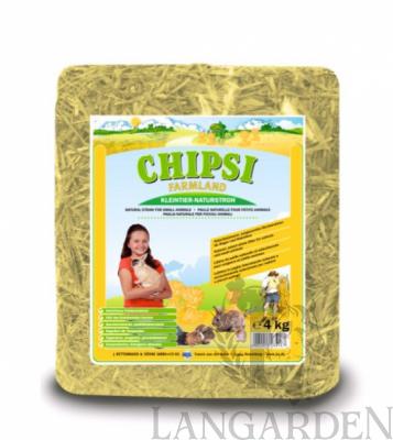 chipsi27.jpg