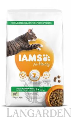 iams7.jpeg