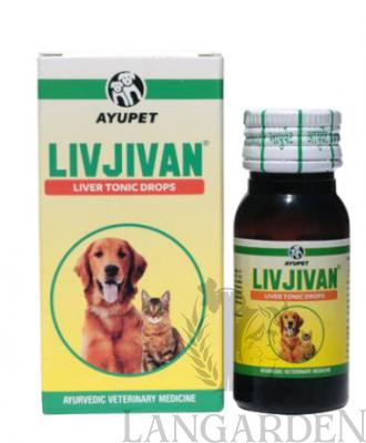 livjivan2.jpg