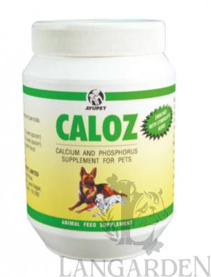 caloz.jpg