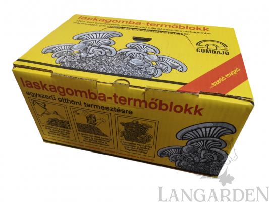 laska2.jpg