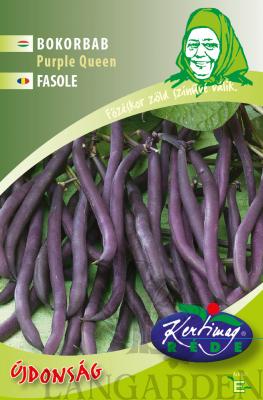 16-220400-23_purple.jpg