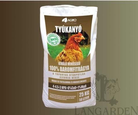 tyukanyo25.jpg
