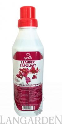 leandersandis.jpg