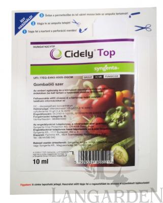 cidelyampulla.jpg