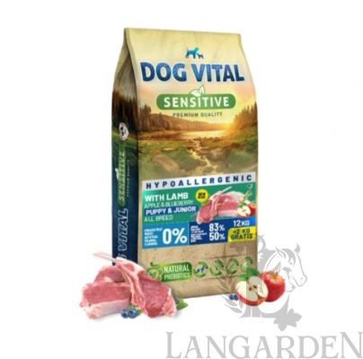 dog5.jpg
