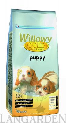 willowy_gold_puppy_15kg1.jpg