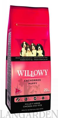 Willowy_Puppy_20.jpg