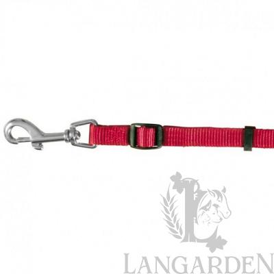 trx13953.jpg