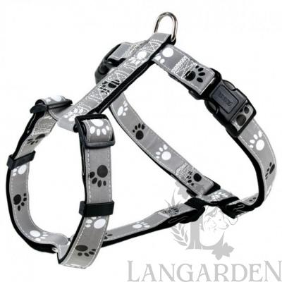 trx12233.jpg