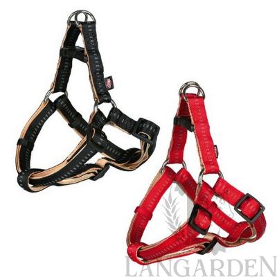trx11651.jpg
