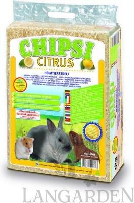 chipsi15.jpg