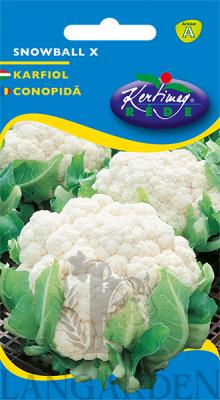 01_612205_karfiol_SNOWBALL_KK1.jpg