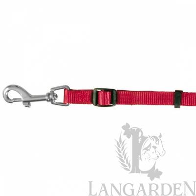 trx13973.jpg