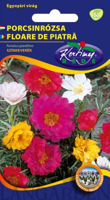 Porcsinrózsa,_szk_(2).jpg