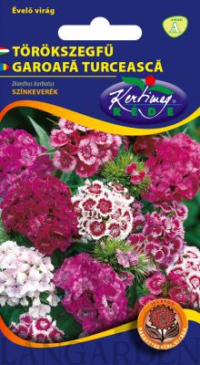 Törökszegfű,_szk._(2)_.jpg