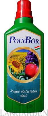 polybor1l.jpg