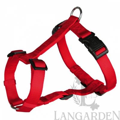 trx14333.jpg