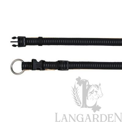 trx11581.jpg