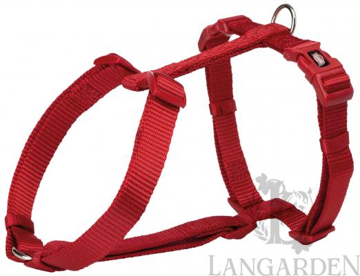 TRX1999603.jpg