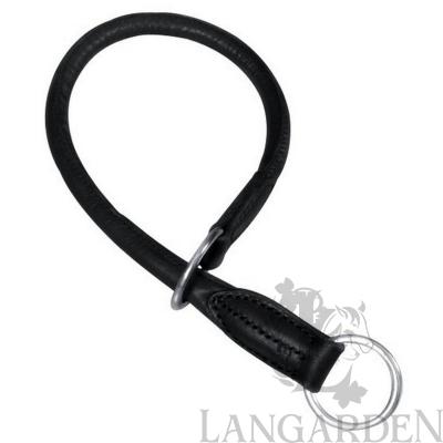 trx16441.jpg