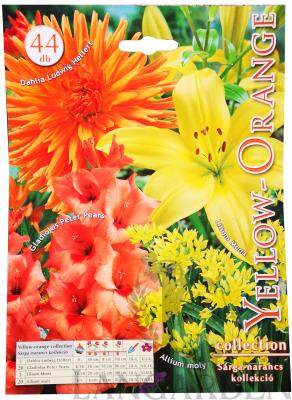 yellow_orange_collection.jpg
