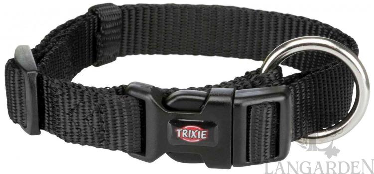 TRX201601.jpg