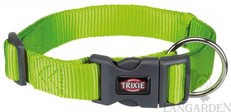 TRX201717.jpg