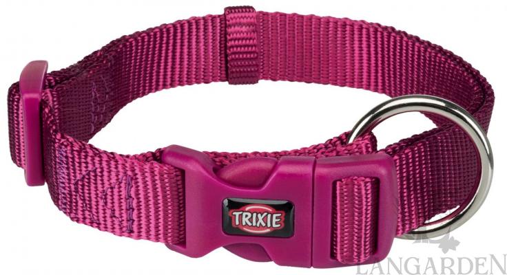 TRX201720.jpg