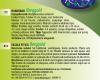 16-220145-23_RS_bergold.jpg