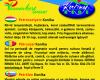 konika2-620018-18_RS.jpg