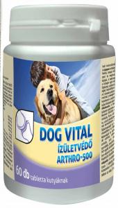 Dog Vital ARTHRO-500 ÍZÜLETVÉDŐ TABL. 60 db