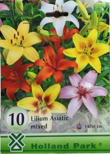Virághagyma Liliom színkeverék 10 db/cs