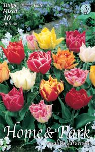 Tulipán teltvirágú színkeverék