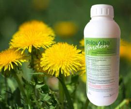 Beloukha Garden természetes alapú gyomirtó 1 liter