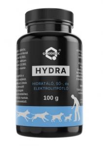 HYDRA - hidrátáló-, sópótló-, elektrolitpótló 100gr