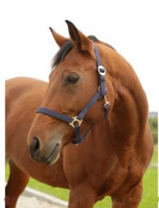 Covalliero Hippo kötőfék fekete 3