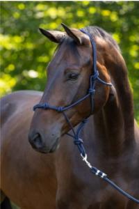 Csomózott kötőfék kék, pony