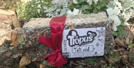 Trópus Téli rúd 2x140g magkeverék