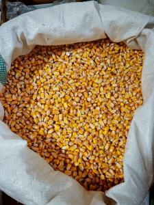Kukorica takarmányozáshoz 2 kg