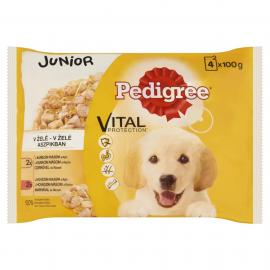 Pedigree Alutasakos 4*100g Pack Junior Csirke&rizs, Marha&rizs