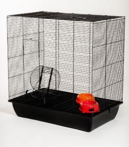 Ketrec mókusnak Squirrel Color 80 Mókus 780x480x855mm