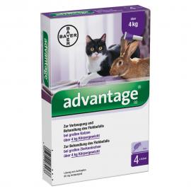 Advantage macska/nyúl 0,8 ml 4 kg felett 1db