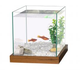 AKVÁRIUM 20X20X20 CM BARNA KERET + 1KG HOMOK + DEKORNÖVÉNY