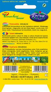 Fejessaláta Attrakció