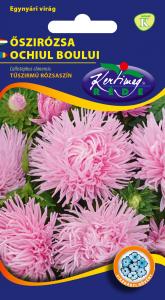 Őszirózsa Tűszirmú rózsaszín