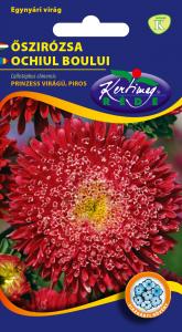 Őszirózsa Prinzess piros