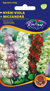 Nyári viola