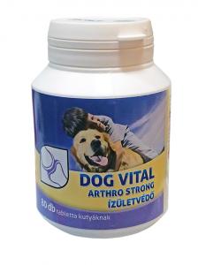 ARTHRO STRONG ÍZÜLETVÉDŐ TABL. Dog Vital 80DB