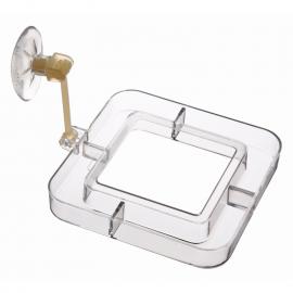 AKVÁRIUMBA ELESÉG TARTÓ 7x7CM